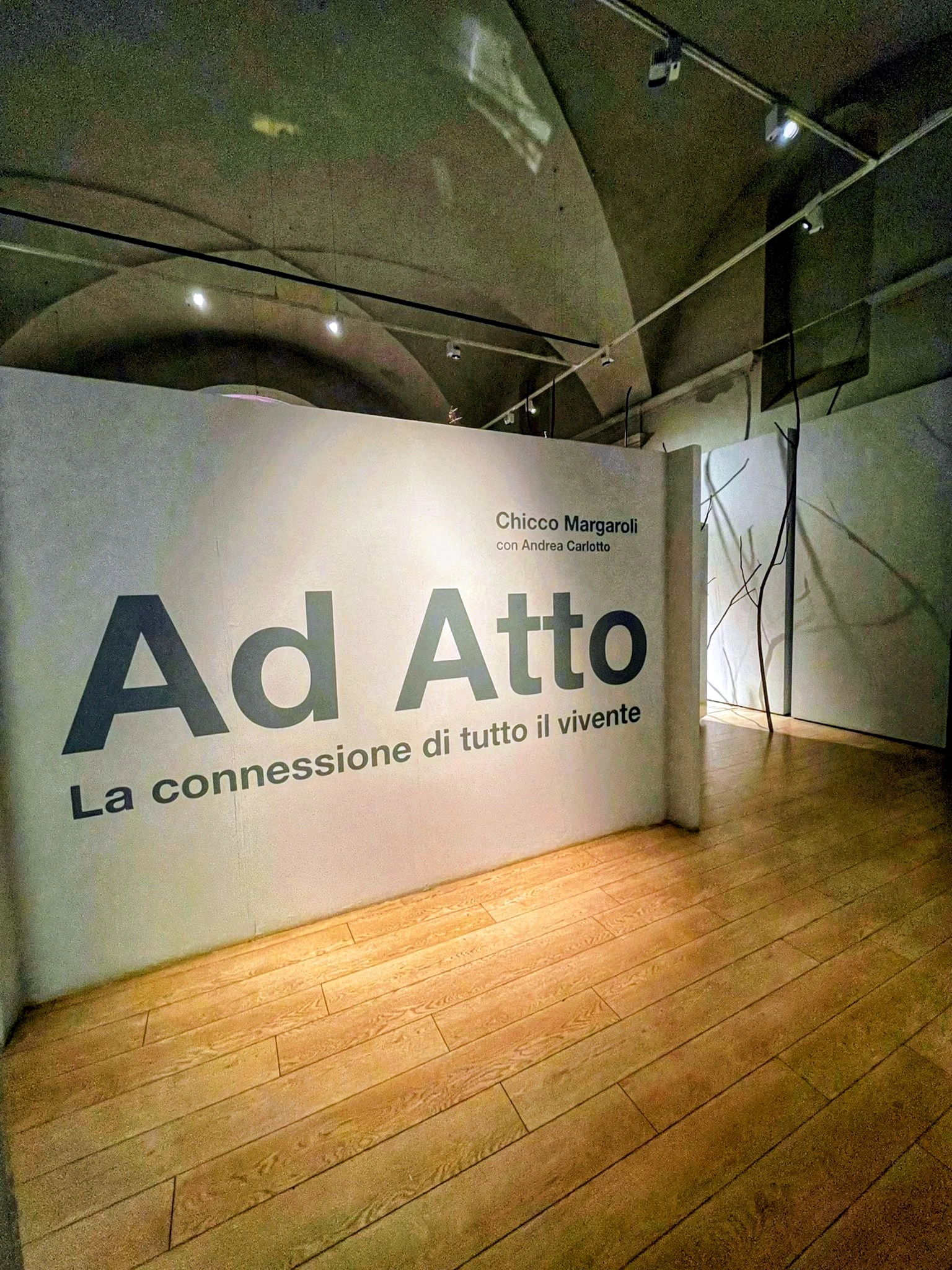 Ad Atto — La connessione di tutto il vivente