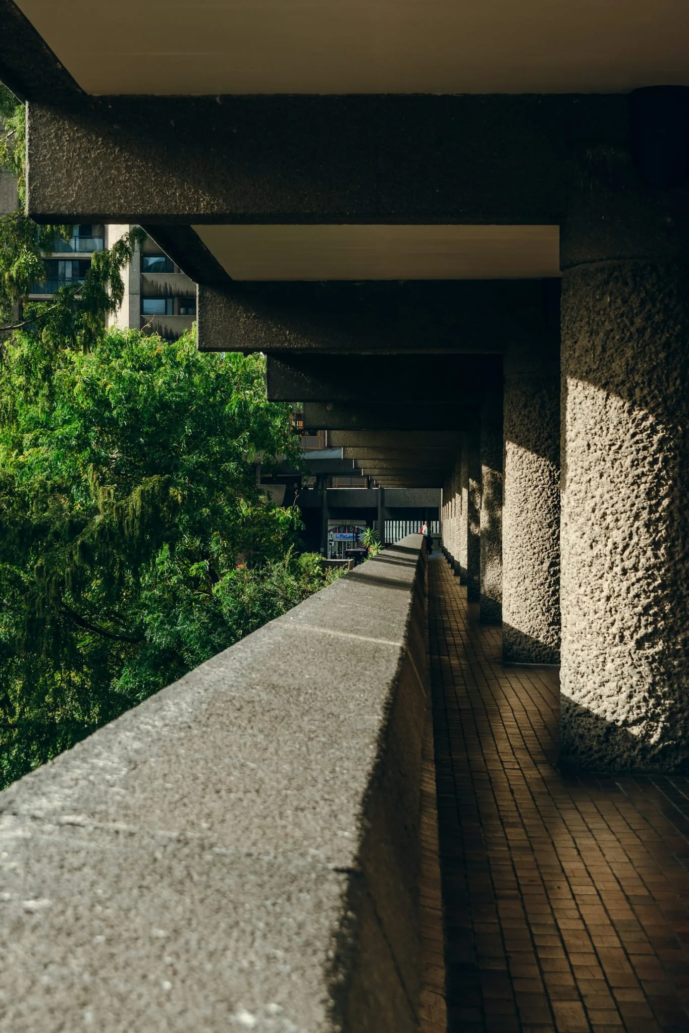 Architettura in cemento e vegetazione: relazione tra ambiente costruito e Natura