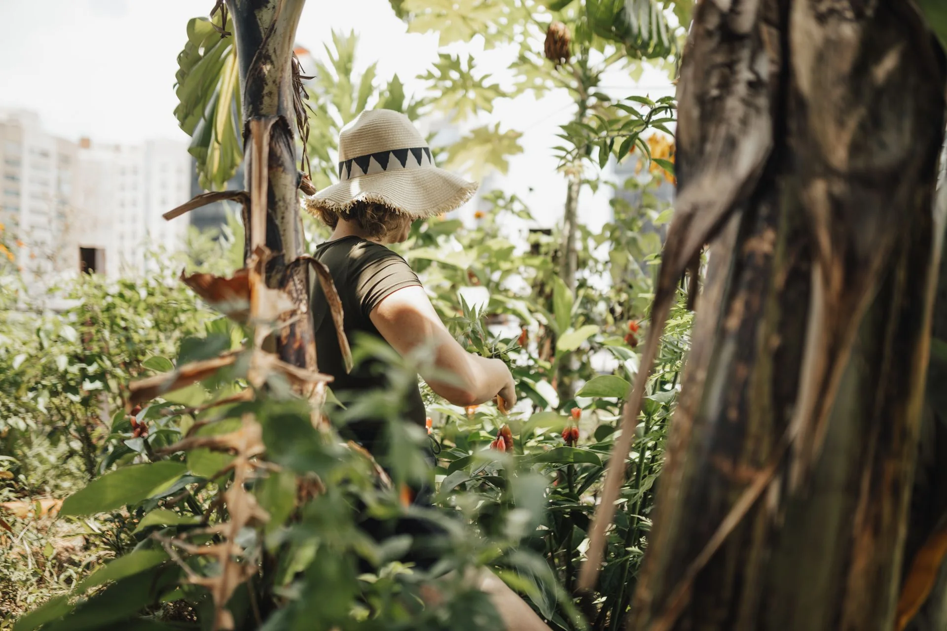 Una persona si prende cura della vegetazione in un giardino urbano